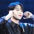 플레로마 이미지