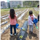 쌍용농장 이미지