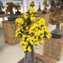 무주읍227 이미지