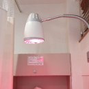 경희다원한의원 이미지