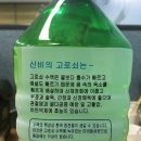 고로쇠 이미지