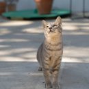 고흥의 하루 이미지