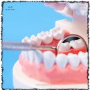 서울바른치과교정과치과의원 이미지