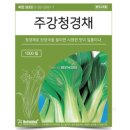 씨앗 - 남양주시 덕소로116번길 11 | 씨앗