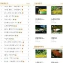 79카페