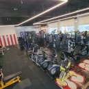 휘트니스 JSL Daum카페