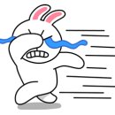 용인대현대태권도 이미지