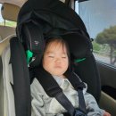 1년의 기다림 끝에 간 [내포보부상촌] 찐 후기