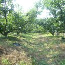 섬지뜰농장 이미지