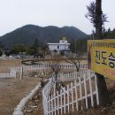 진도승마클럽