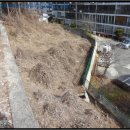 포항시북구13 이미지