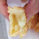 호도미