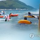 운문댐하류보5 이미지