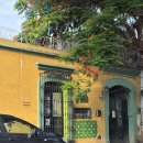마크텍스타일 | 멕시코 오아하카(Oaxaca)_4 보데가(Bodaega)오픈런, 어린이 도서관, 텍스타일 뮤지엄
