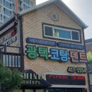 국제덴트카