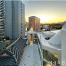 2024년 9월 19일 국내 웰니스 소식