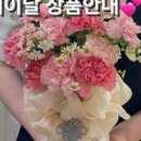 달플로르 이미지