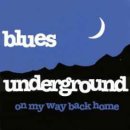 Blues Underground - St. James Infirmary 이미지