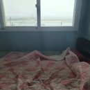 까사콩새 이미지