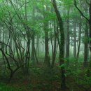 몰운대농장 이미지