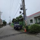 경기도 안산제초작업 오스템임플란트 시화공장 안산2공장