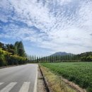 수덕관광(주) | 예산 가볼만한 곳 <예산여행 1박2일 코스>