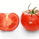 라스트짐(LAST GYM) 이미지