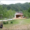 자작나무쉼터 이미지