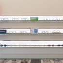 씨샵 대전 플래그쉽 이미지