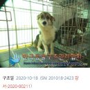 케이누리 이미지