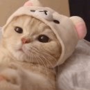 에스제이솔루션
