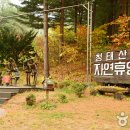 숲속의 정든집 야영장 이미지