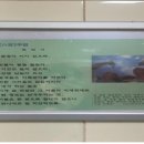 수화축산 연합뉴스