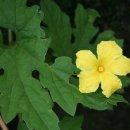 화개우체국 이미지