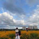 꽃과호수어린이집 | [용인 가을 나들이] 아기랑 다녀온 기흥호수공원 산책코스 후기🍁