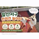 우리봄약국 | 일산서구 무료 반려견 놀이터 위치 및 이용후기