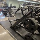 스페셜 바디 이미지