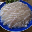 막썰어 세꼬시회 이미지