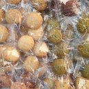 퐁디자인