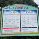 석동목장 | 강원도 삼척 2박 3일 여행 코스 추천