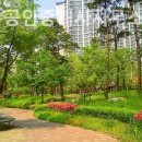 솔로몬공인중개사사무소 이미지