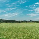 동심동물병원 이미지