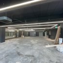 울프짐24 이미지