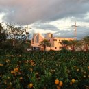 그리하오 이미지