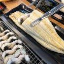 청정장어 이미지