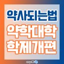 약사되는법 약학대학 학제 전형요소에 대해
