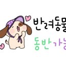 몽글댕글
