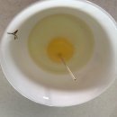 등고개2 이미지