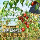 영준 농장 이미지