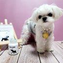 멈무eat | [바이테이블] EAT